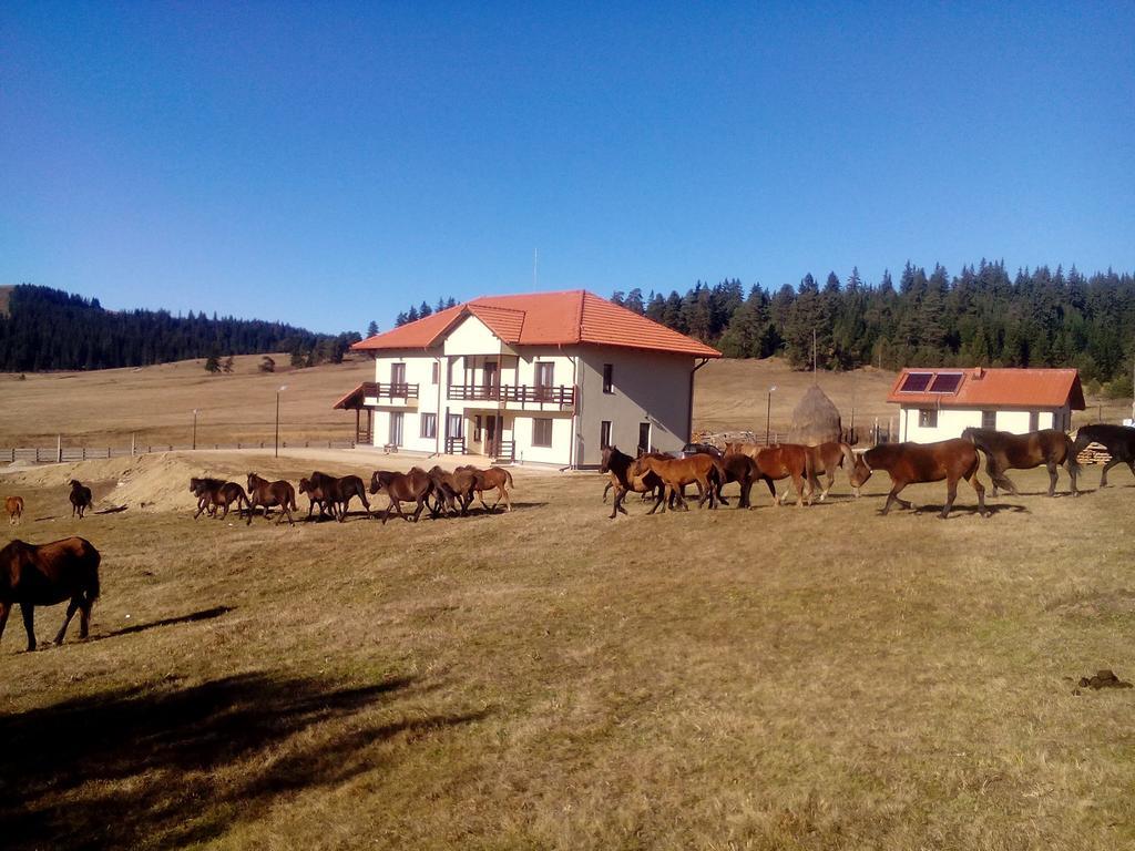 Pensiunea Catalina Moldova Sulita Екстериор снимка
